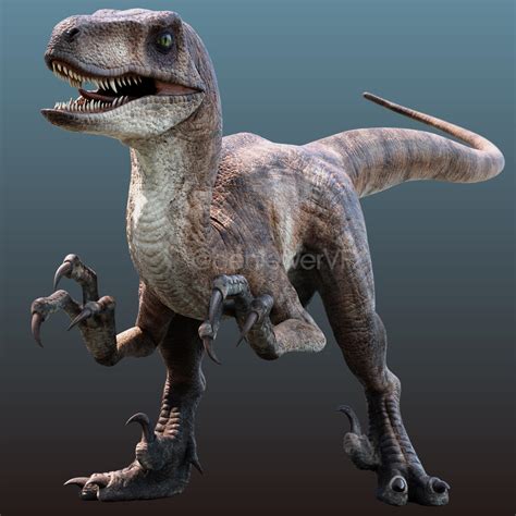 923 best Velociraptor images on Pholder | Jurassicworldevo, Dinosaurs ...