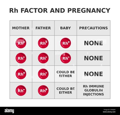 Rh factor and pregnancy. Rhesus factor incompatibility when mother is ...