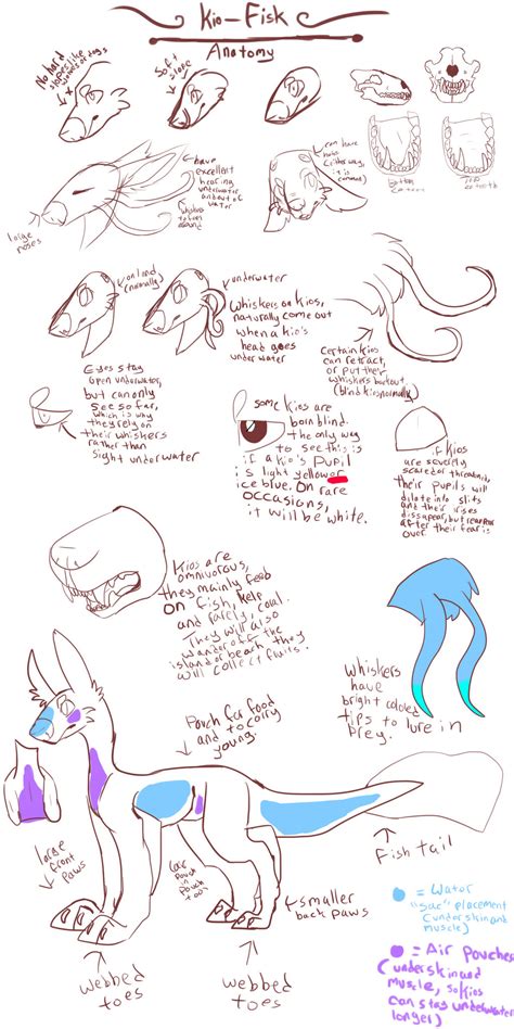 Kio-Fisk anatomy chart 1 by Cani-bal on DeviantArt