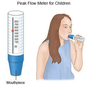 How To Use A Peak Flow Meter In The Correct Order