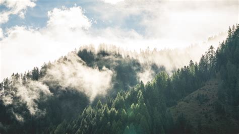 早晨山林雾自然风景壁纸_高清风景壁纸_彼岸桌面