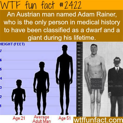 adam rainer the dwarf and a giant