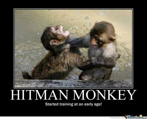 45 Very Funny Monkey Meme, Images, Gifs, Photos & Pictures | Picsmine