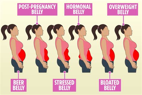 Weight loss: Booze belly to hormonal tum – how to blast your belly fat ...