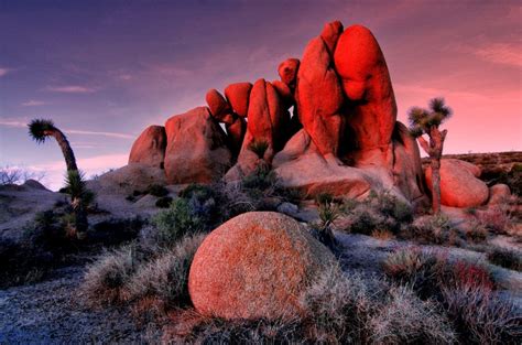 The 20 Best Hikes in Joshua Tree That Will Blow Your Mind