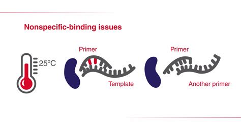 What is hot-start PCR? - Scientific Videos | Thermo Fisher Scientific US