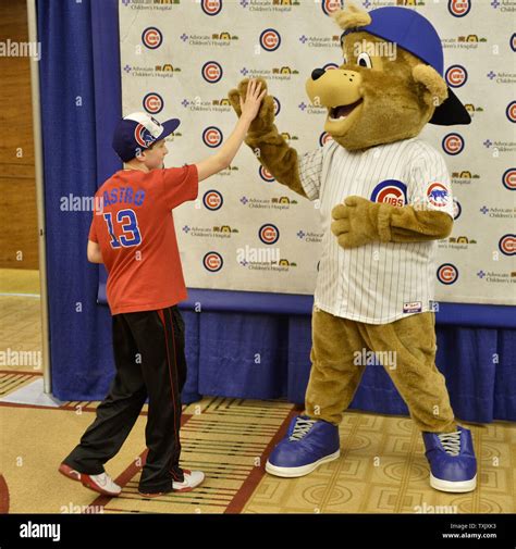 Chicago cubs mascot hi-res stock photography and images - Alamy