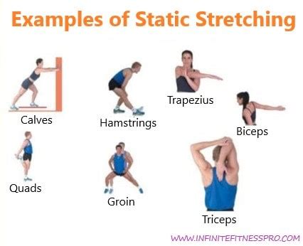 Dynamic Vs Static Stretching: What's The Difference? - Infinite Fitness Pro