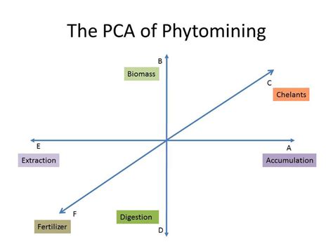 Principle Components of Phytomining | Download Scientific Diagram