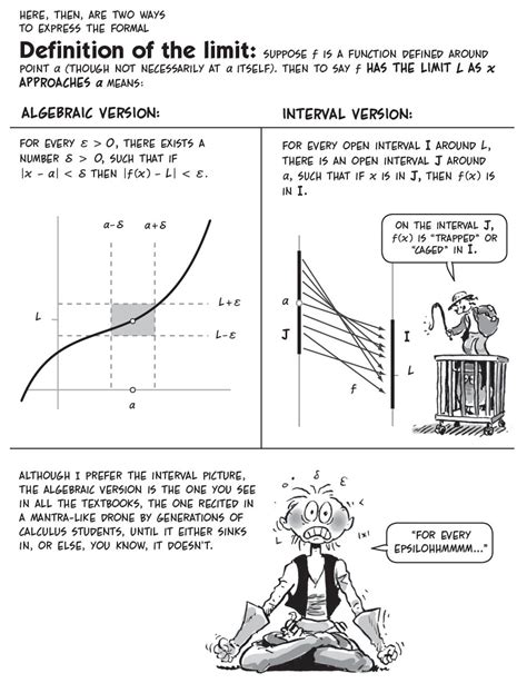 The Cartoon Guide to Calculus by Larry Gonick | Larry Gonick