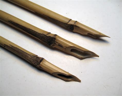 Natural Reed Pens