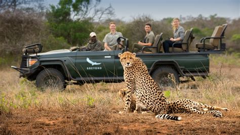 A safari from your Armchair | Melissa Adey | andBeyond