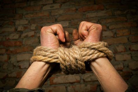 Hands Of Man Tied Up With Rope Stock Image - Image: 23445649