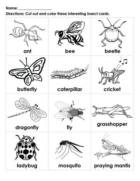 Free Handouts for Learning | Insects preschool, Kindergarten worksheets, Preschool worksheets