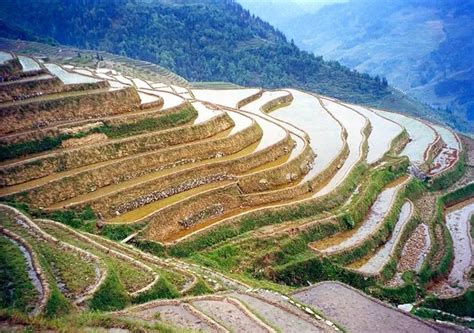 Longsheng Rice Terraces