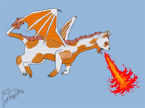 Dragon cat by Grayon1 on DeviantArt