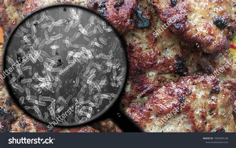 Bacteria in meat Images, Stock Photos & Vectors | Shutterstock