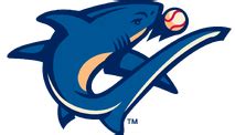 Florida State League/Teams | Minor League Baseball Wiki | Fandom