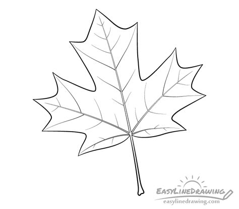 21+ Easy Draw Maple Leaf - AneekAmartya