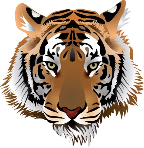 3 tiger head vector Free Vector / 4Vector