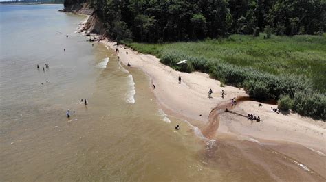 Calvert Cliffs State Park Beach - YouTube