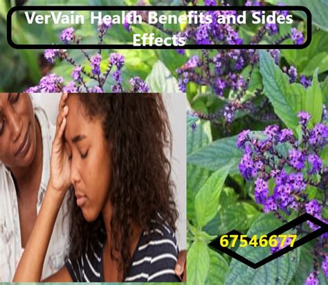 VerVain Health Benefits and Sides Effects