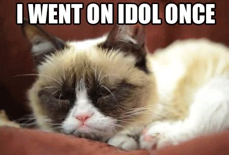 Put. Me. Down. NOW! | Funny grumpy cat memes, Grumpy cat gif, Grumpy cat humor