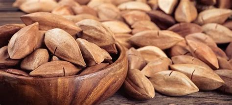 Pili Nuts: Benefits, Uses, and Nutrition of This Superfood