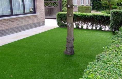 Pasto natural para jardin