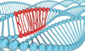 Biomarkers Explained: 6 Key Biomarkers For Performance & Health - Ignore Limits