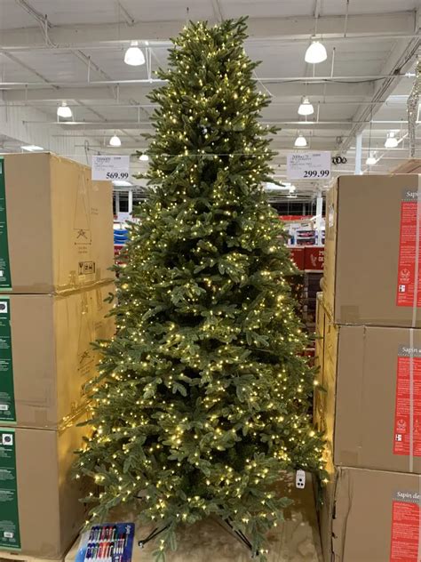 Costco 9 Foot Christmas Tree, Micro Dot Pre-Lit Tree - Costco Fan