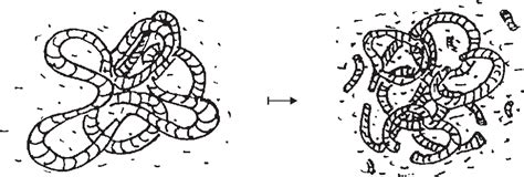 Figure 2 from Applications of knot theory in fluid mechanics | Semantic ...