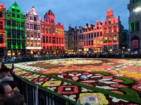 Flower Carpet and flowers of Belgium (Photos) - The October Sky