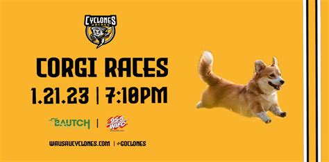 Corgi Races happening January 21st with Wausau Cyclones Hockey - OnFocus