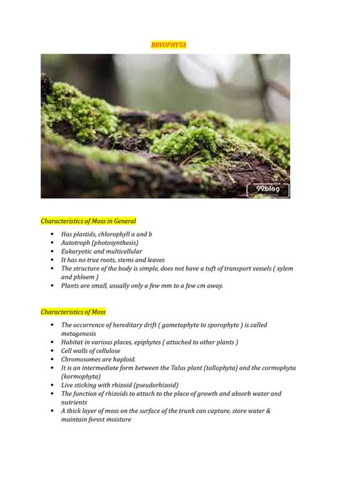 Resume Bryophyta - BRYOPHYTA Characteristics of Moss in General Has plastids, chlorophyll a and ...