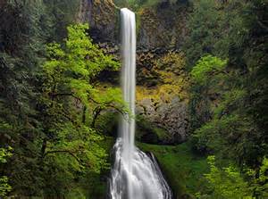 Clackamas River Trail | WyEast Blog