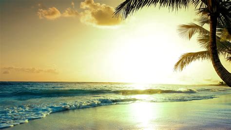 2048x1152 Tropical Beach Sunset 4k 2048x1152 Resolution HD 4k Wallpapers, Images, Backgrounds ...