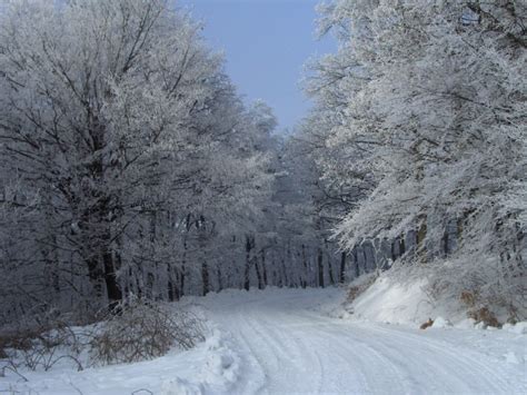 Winter trips around Budapest - English - We love Budapest