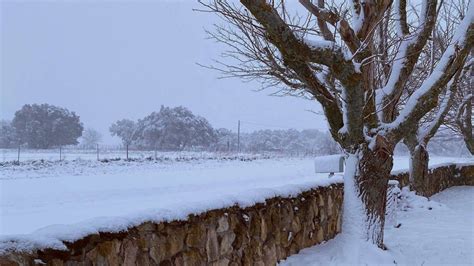 Winter Storm Recap: Record Snow for Texas