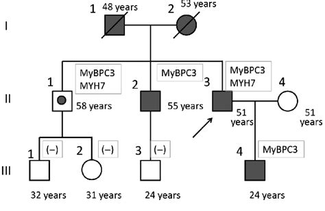 The family tree. Circle: female. Square: male. Symbols in gray:... | Download Scientific Diagram