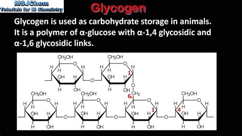 B.10 Starch, glycogen and cellulose (HL) - YouTube