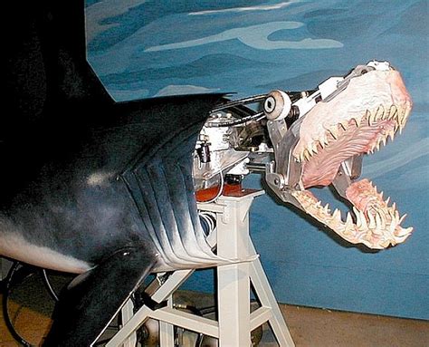 WORLD'S LARGEST ROBOTIC SHARK PROJECT BIGGEST ANIMATRONIC FISH MARINE MECHATRONICS DISPLAYS