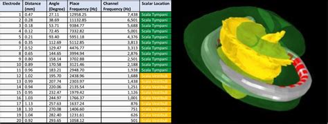 Intracochlear location of each electrode in reference to angle of... | Download Scientific Diagram