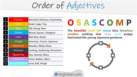 Order Of Adjectives With Rules, Examples And Exercise, 51% OFF