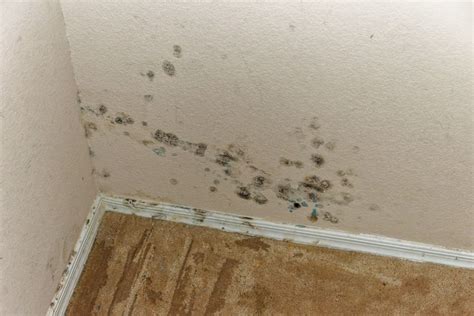 10 Signs Of Water Damage In Walls (or Ceilings) - Making This Home