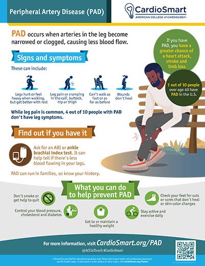 Peripheral Artery Disease – Infographic | CardioSmart – American College of Cardiology