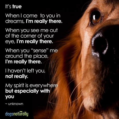 I am really there... | Dogs and puppies, Dog quotes, Dog poems