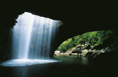 Gold Coast: Natural Bridge & Springbrook Waterfalls Tour | GetYourGuide