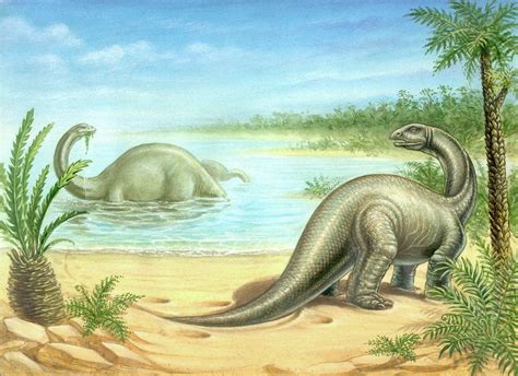 Brontosaurus—the "Thunder Lizard"—Is Back as Its Very Own Genus - Newsweek