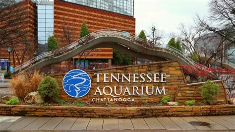 Tennessee Aquarium walk through/ Freshwater side - YouTube